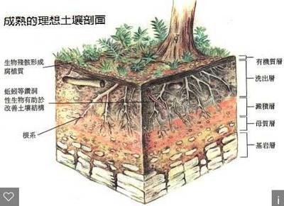 土壤及沉积物.jpg